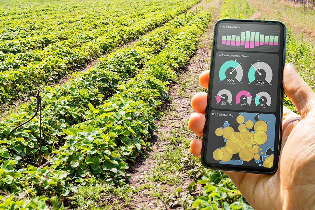 'Er is een oerwoud aan software en elke fabrikant heeft zijn eigen format voor het verwerken van de data'. - Foto: Canva