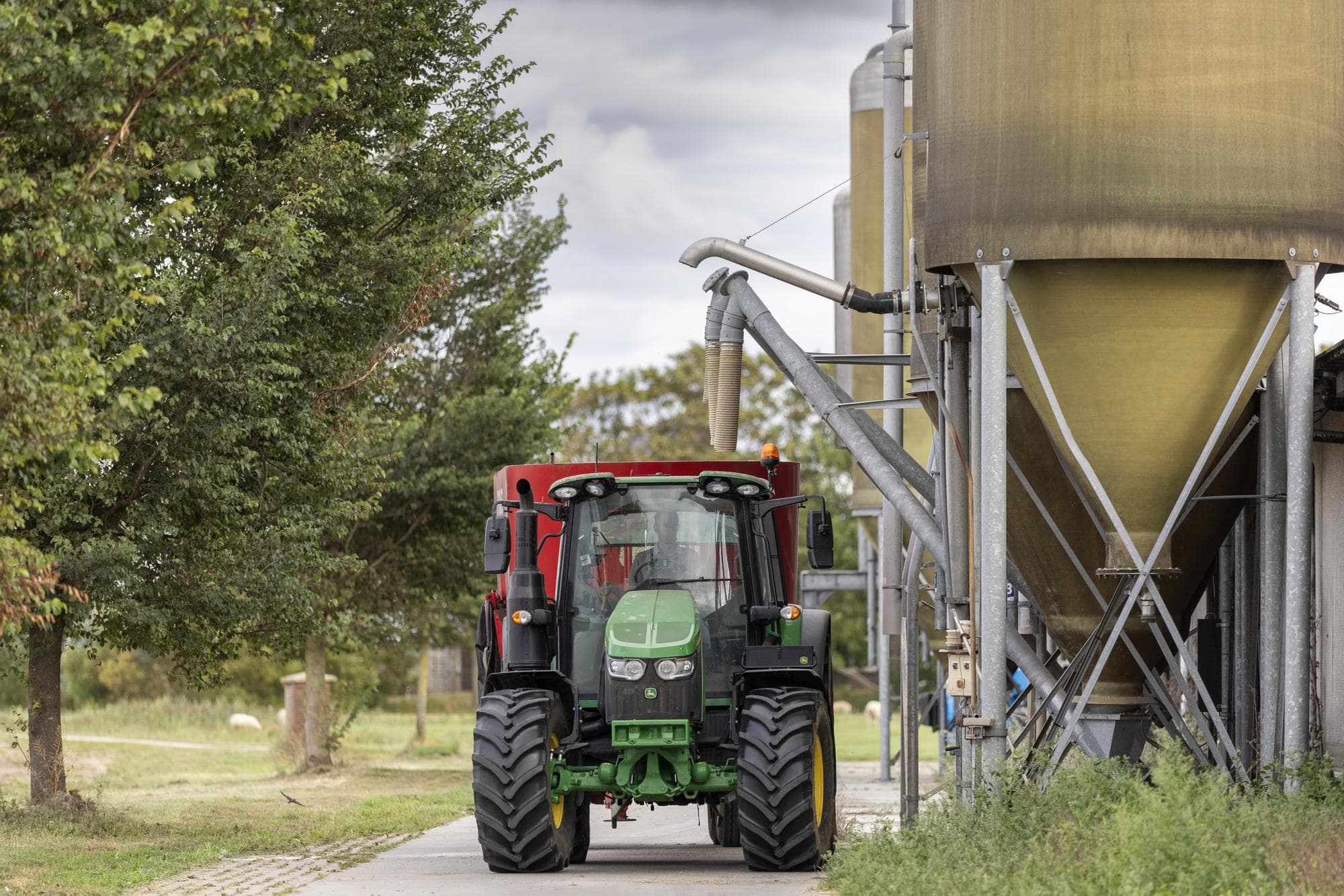 Om twee soorten brok en minimaal een eiwit- en energiecorrectiebron te kunnen voeren, zijn zeker vier silo’s nodig voor de opslag van de voeders. Foto: Mark Pasveer