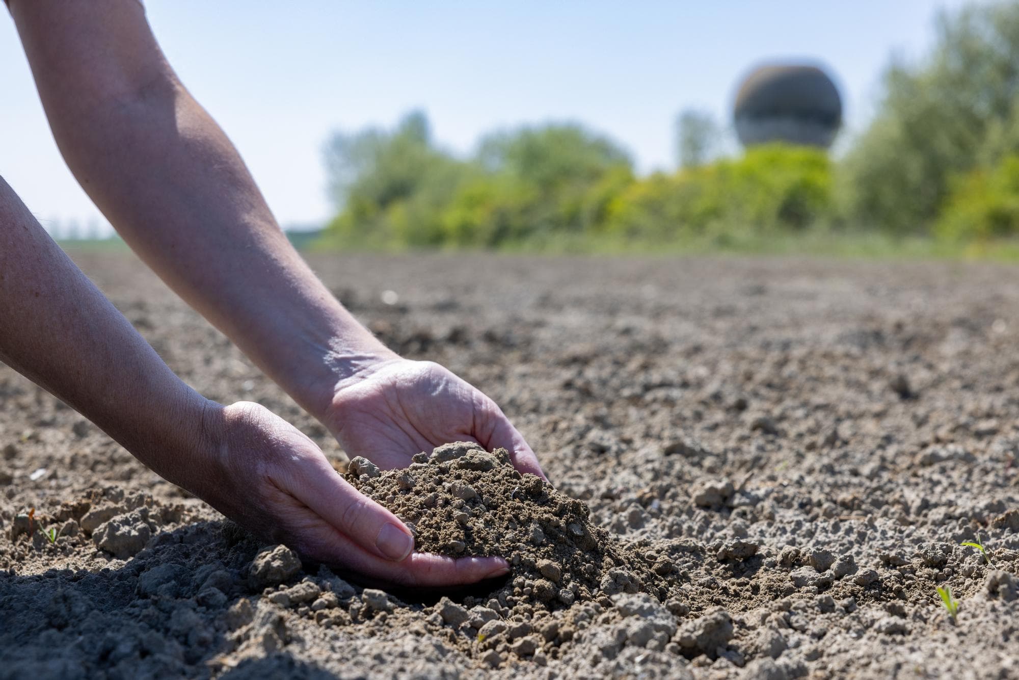 Een gezonde bodem met meer organische stof en een goede structuur helpt gewassen beter omgaan met droogte en wateroverlast. Foto: Peter Roek